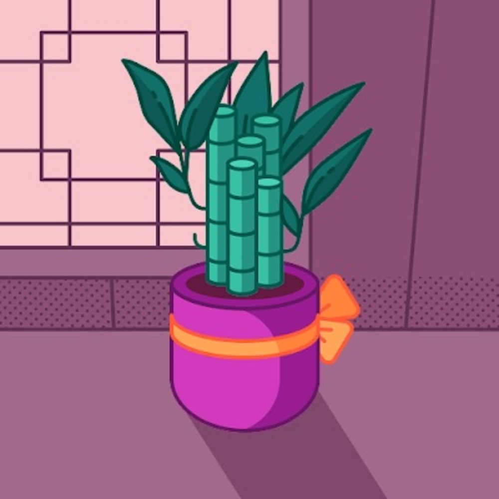 Meet your Posher, Aisha